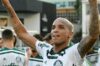 Palmeiras Campeão